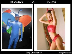 Ms windows vs freebsd.jpg