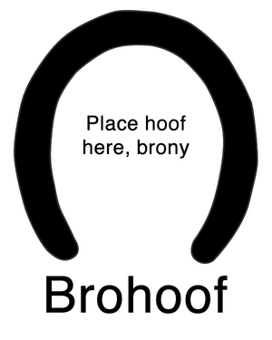 MLP brohoof-(n1296674908776)-(n1297019741453).png