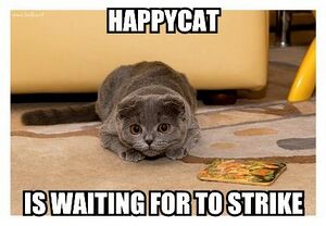 Happycat-is-waiting-for-to-strike.jpg