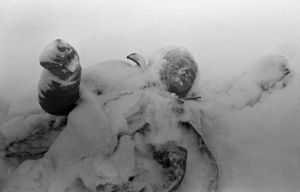 Finnish-soldier-corpse.jpg
