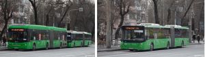 Almaty bus.jpg
