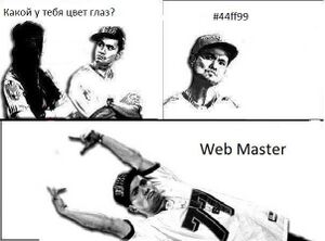 Web Master.jpg