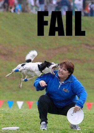 Dog fail3.jpg