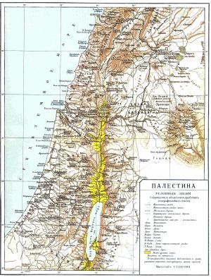 Map of Palestine.jpg
