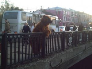 Russian Bear on teh street.jpg