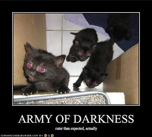 Basement-cat-army-of-darkness.jpg