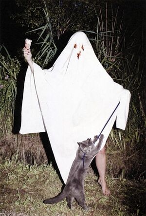 Ghost&its fucking cat.jpg