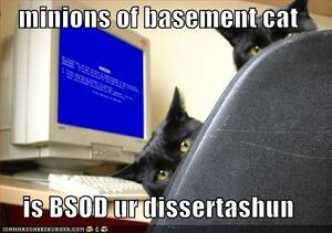 Basement-cats-bluescreen.jpg