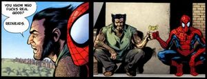 Spiderman-Wolverine-Bump.jpg