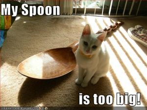 My spoon is too big 3.jpg