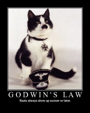 Godwin's cat 2.jpg
