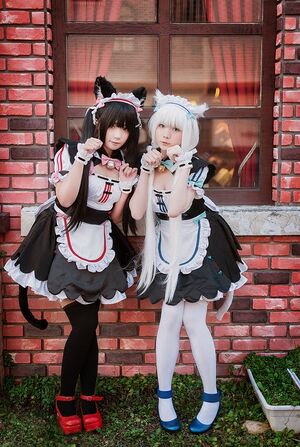 Cute neko maid cosplay girls.jpg