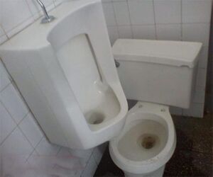 Toilet choise.jpg