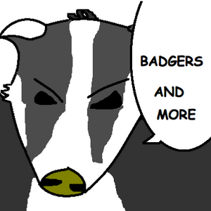Badgers and More.png