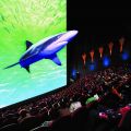 Акула на 3D-сеансе: «Как много человеков, хоть жри!»
