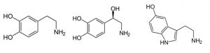 Monoamines.jpg