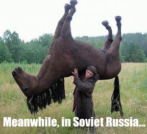 Meanwhile in Soviet Russia 1.jpg