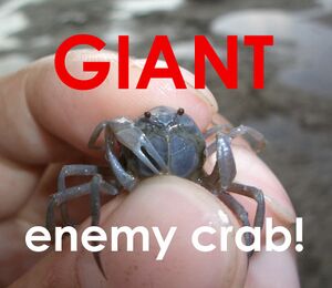 NotGiantCrab.jpeg