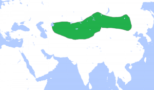 Turkish kaghanate.png