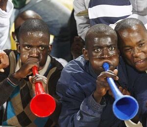 Vuvuzela-niggs.jpg