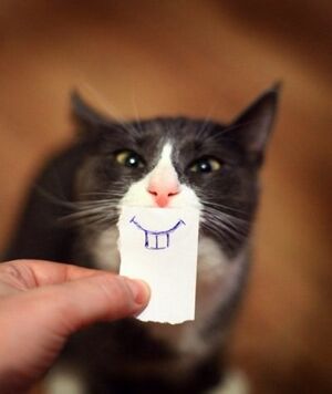 Kote smile.jpg