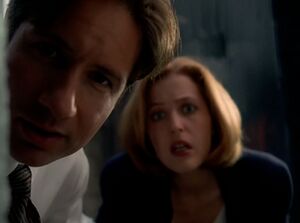 Maulder and Scully are looking at you.jpg