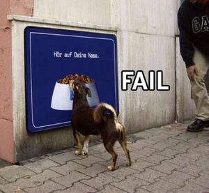 Dog fail2.jpg