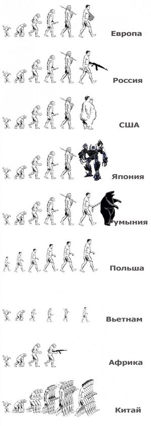 Evolution lulz.jpg