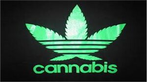 Adidas-cannabis-2.jpg