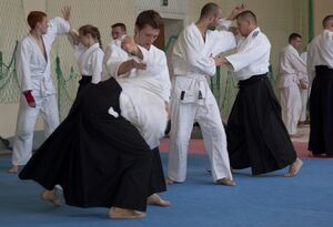 Aikido-people.jpg