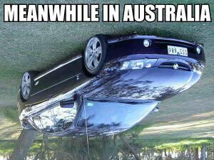 Meanwhile in australia.jpg