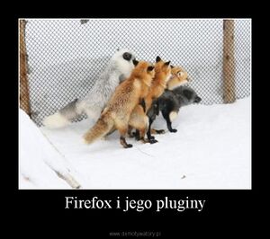 Firefoxplugins.jpg