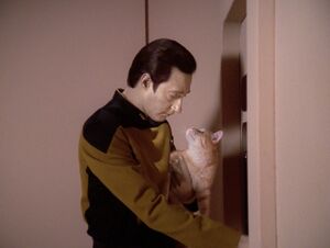 Data and his cat.jpg