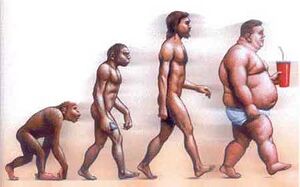 Fat evolution.jpg