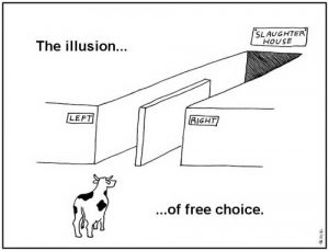 Illusion of choice.jpg