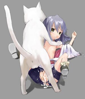 A cat in the loli is fine too.jpg