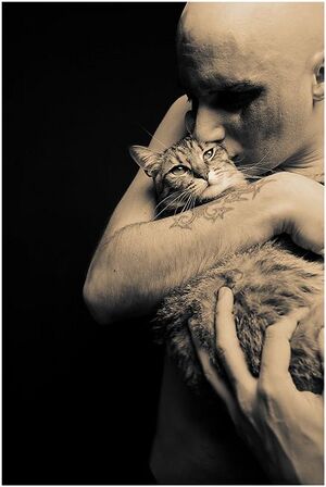 Эдлунд и его сраная кошка.jpg