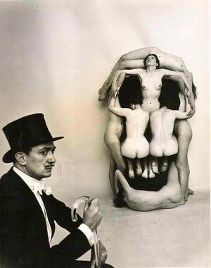 Dali skull.jpg