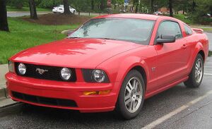New Mustang.jpg