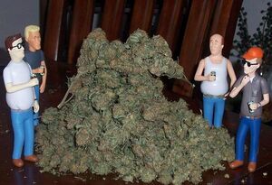 King of the hill weed.jpg