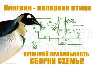 Pinguin .jpg
