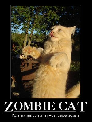 Zombiecat.jpg