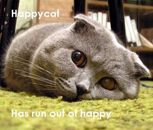 Happycat LApaper.jpg