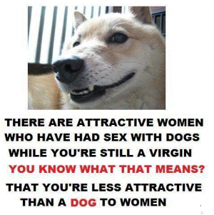 Dogs.png
