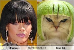 Rihanna and Lime Cat.jpg