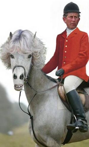 Prince and horse.jpg
