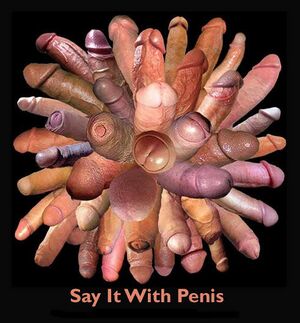 Penis.jpg