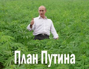 Putins plan.jpg