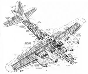 B-17cutaway.jpg