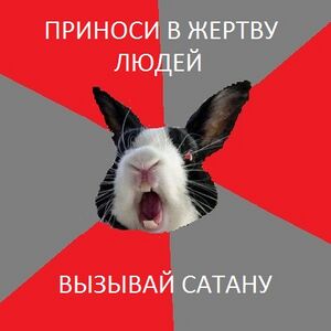 Кролик2.jpg